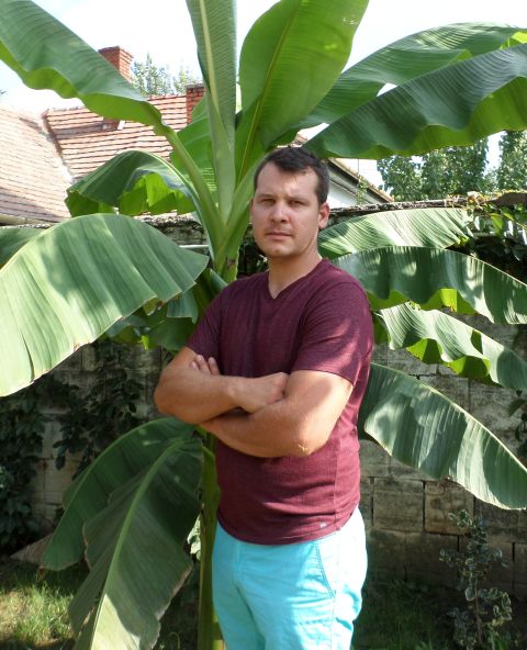 Kiss Dániel kertész