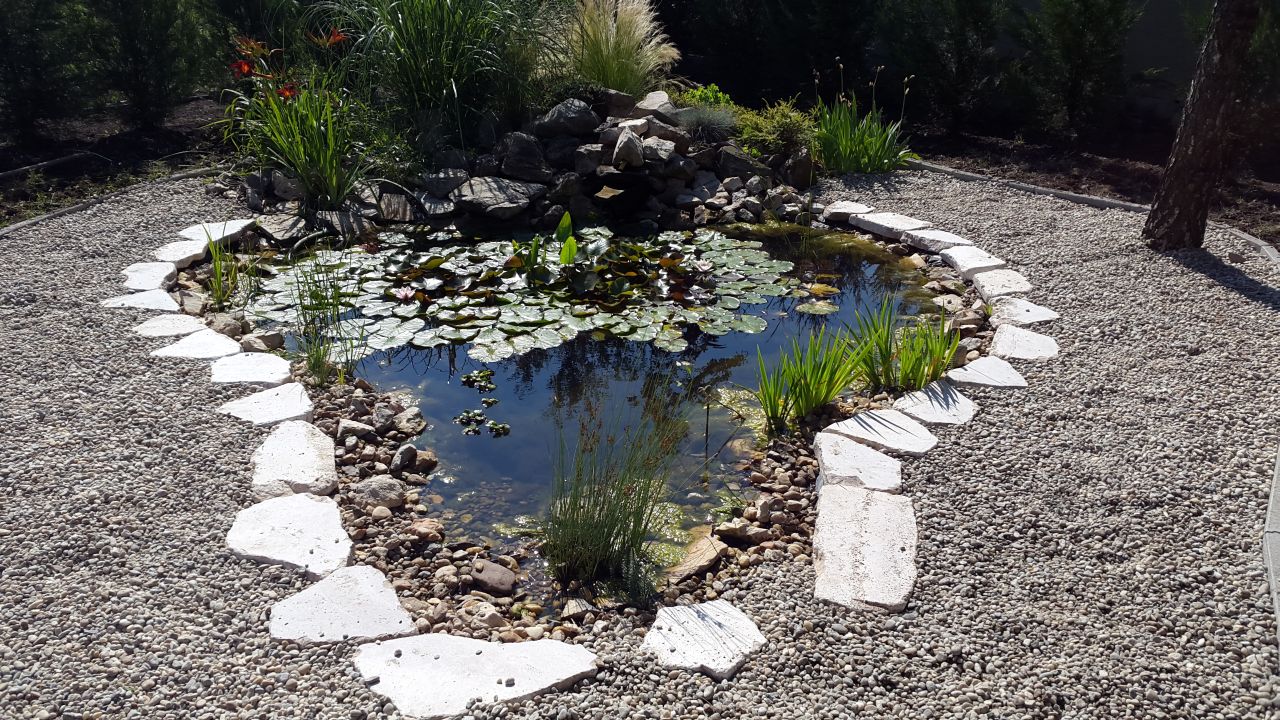 Kerti tó építése Szeged - Kiss Kertész referencia